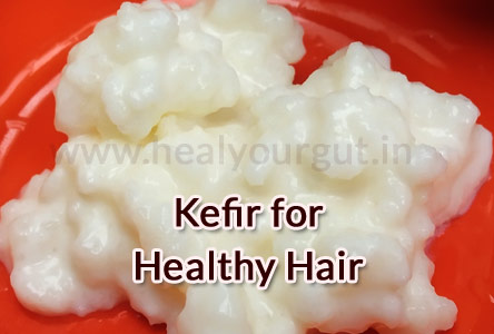 Kefir Probiotics for Hair Growth, Hair Loss Remedy & Restoration